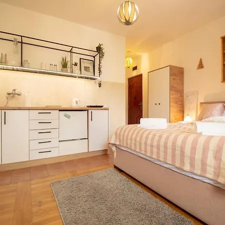 Apartment Cozy - Dostojevski Novi Sad