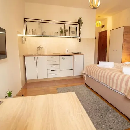 Apartment Cozy - Dostojevski Novi Sad